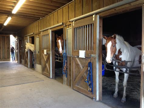 Boarding stables near me - Horse Boarding Stables in Ontario - Advertise your facility to make it easier for potential boarders to find the perfect place for their equine family. Looking for a barn? Feel free to post an ISO... Log In. Log In. Forgot Account? Horse Boarding Stables in Ontario. Public group · 14.3K members. Join group. About. Buy and Sell. Discussion. Media. Questions. …